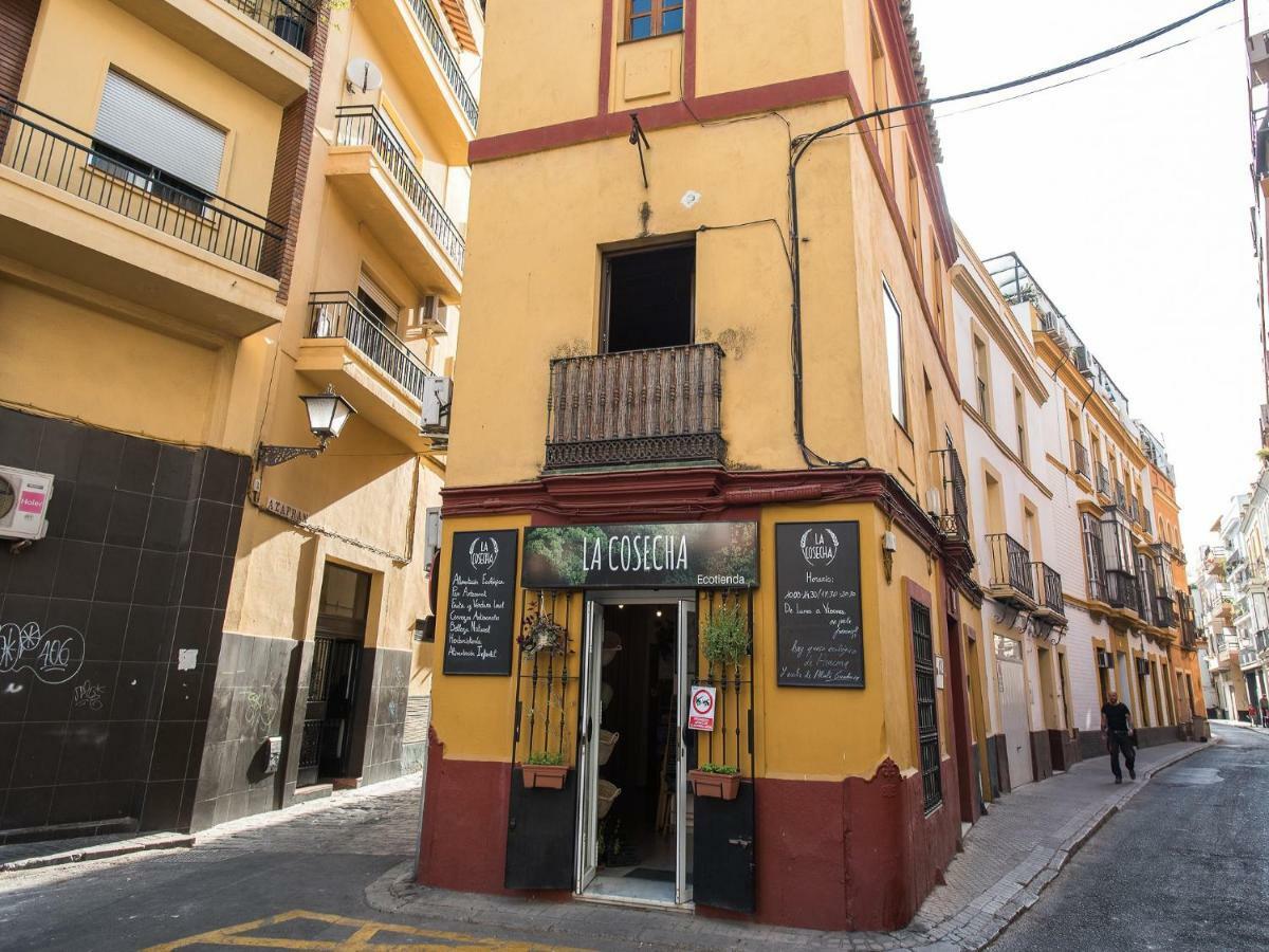 Divi Apartaments Centro Sevilla エクステリア 写真